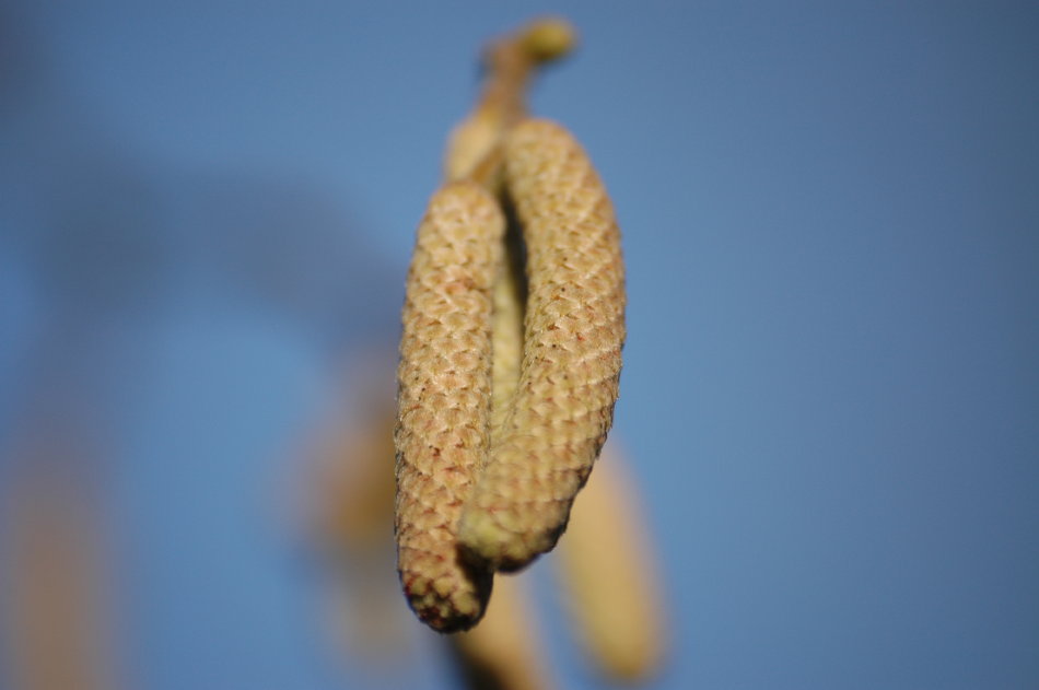 eiskalt hängengeblieben