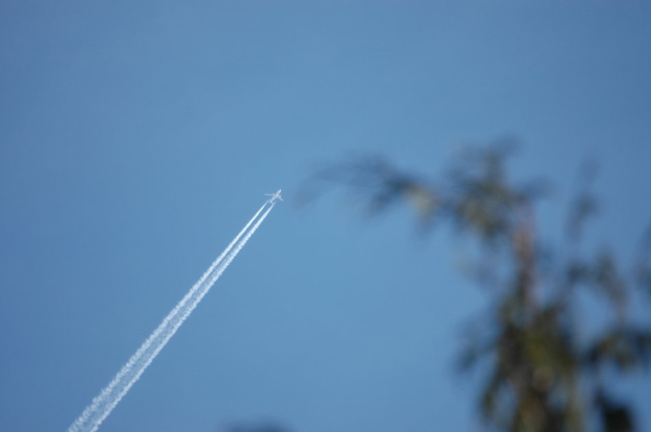 Flucht in den Süden